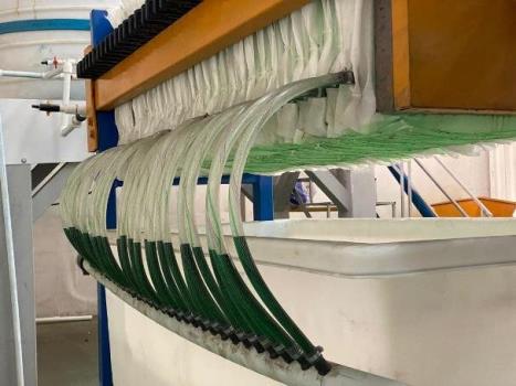 استحصال مس کاتدی به روش شیمیایی توسط محققان کشور