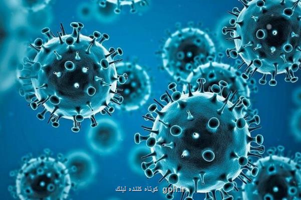 کشف یک مکانیسم ضد ویروسی که از بدن در مقابل کروناویروس محافظت می کند