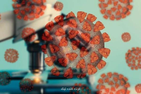 پیشگیری از گسترش کووید-19 با مسدود کردن مسیر سوخت وساز سلولی
