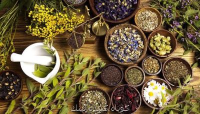 ۲۰ طرح برای هوشمندسازی ابزار تولید گیاهان دارویی اجرایی شد