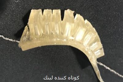 توسعه مواد خودترمیم شونده از نمک و ژلاتین برای ساخت ربات