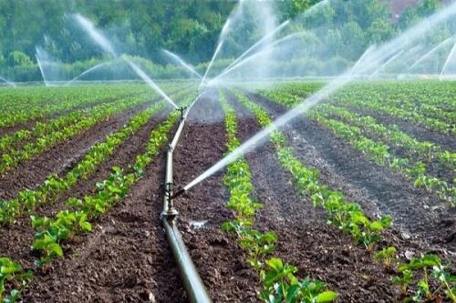 رسوخ فناوری در حوزه کشاورزی افزایش می یابد