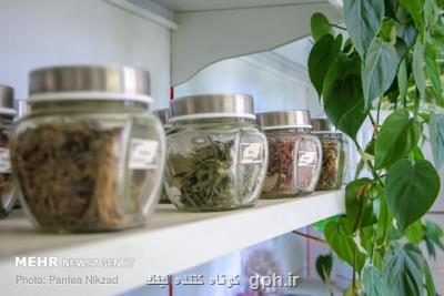 فرمول بندی و تولید 14 داروی گیاهی ازطریق یک شرکت دانش بنیان ایرانی