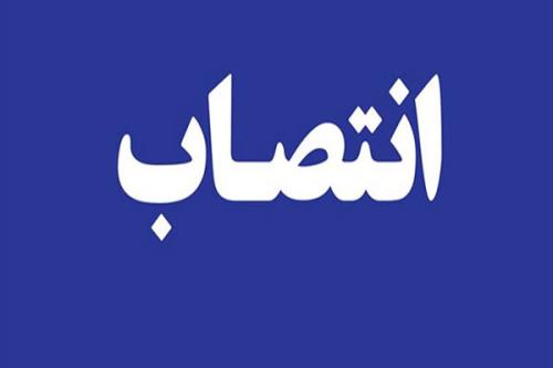 مدیر برنامه ملی میکروالکترونیک معاونت علمی انتخاب شد