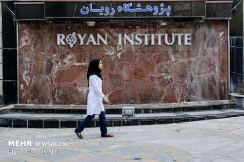 رویان ۲ ماه بعد از حریق چرا کسی سلول به سلول پژوهشگاه را نساخت؟