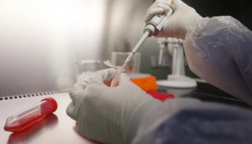 خبرهای خوب از درمان ناباروری مردان تا تولید داروی کم خونی