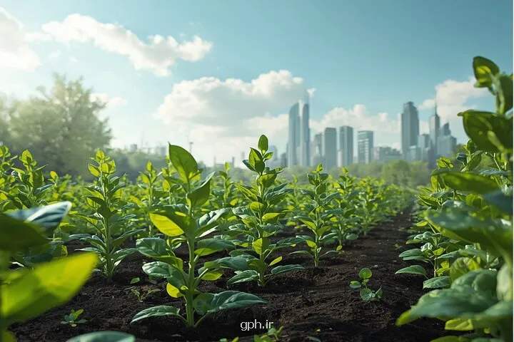 گیاهان دستکاری شده ژنتیکی، سپر زمین در مقابل آلودگی