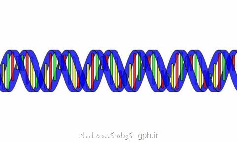 ساعت زیستی بدن میزان مبتلا شدن به بیماری های روحی را تعیین می كند