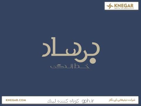 طراحی لوگو مخصوص سایت و بسته بندی