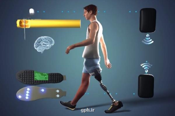 پای مصنوعی پیشرفته راه رفتن معلولان را آسان می كند