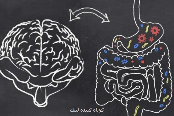 ارتباط شخصیت با میكروبیوم روده!