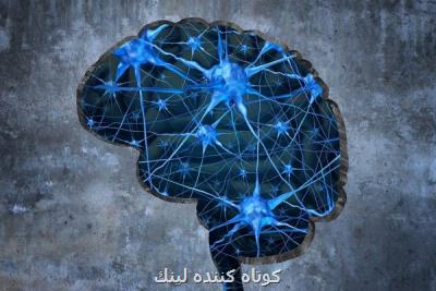درمان آلزایمر با ارسال امواج الكتریكی عمیق به مغز