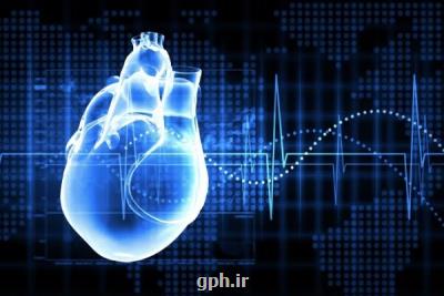 تولید بستر خارج سلولی قلب جهت استفاده در مهندسی بافت قلب