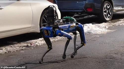 سگ رباتیك در گرفتن گروگان گیرها به پلیس كمك می نماید