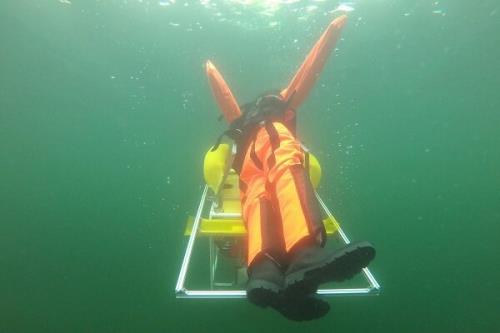 ربات غریق نجات برای شناگران به بازار آمد